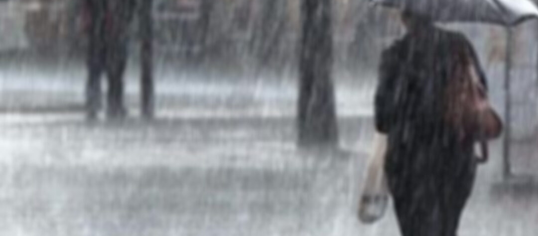 Expert Citizens Podcast: Lee & Jo on Severe Weather Emergency Provision